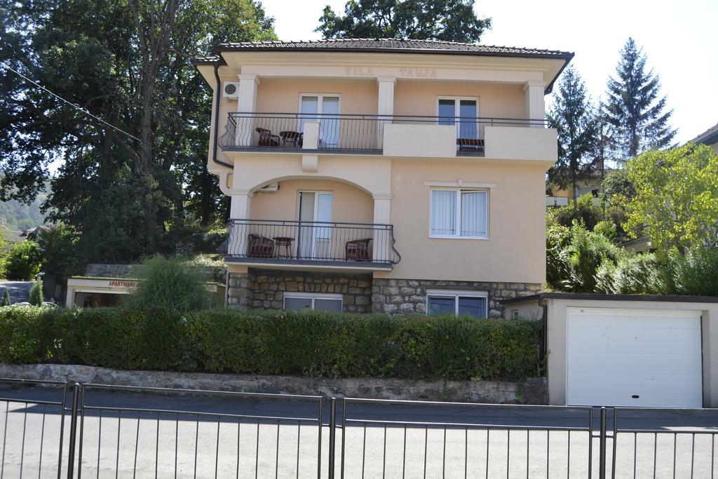 Apartments Tanja Banja Koviljaca Exterior photo