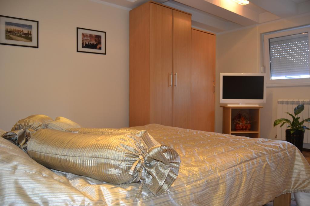 Apartments Tanja Banja Koviljaca Room photo
